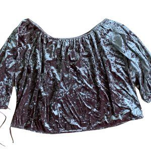 American Eagle Off The Shoulder Crushed Velvet Top